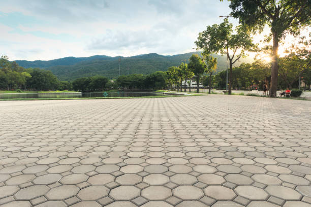 Best Cobblestone Driveway Pavers  in Albion, NY